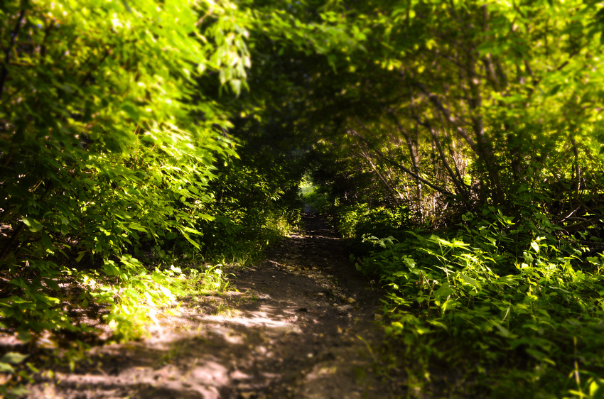 Дорога к Дону. Ст. Кременская.