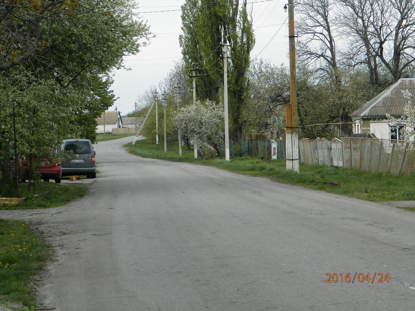 Дорога в Новоалексеевке.