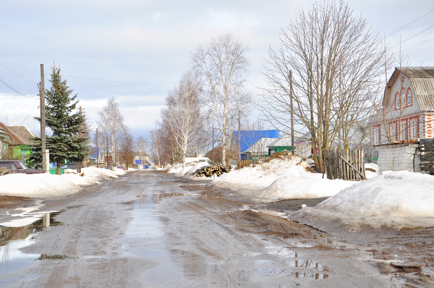 Вознесенское. улица Зелёная.