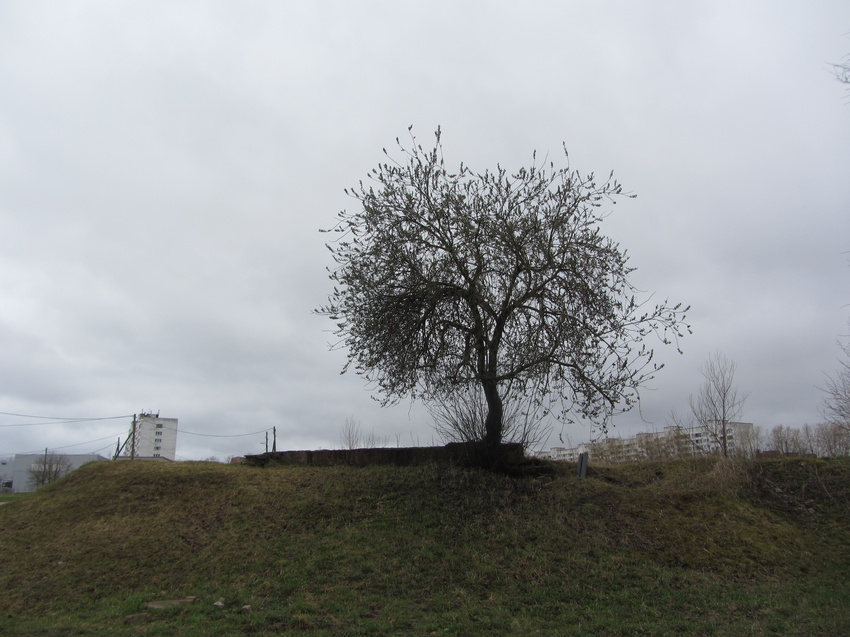 Нарва, ул. Aasa