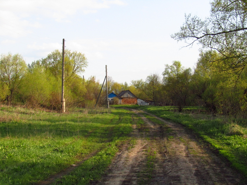 Деревенская дорога