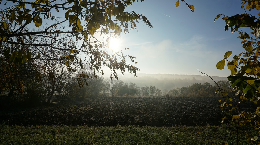 Вспаханная земля.