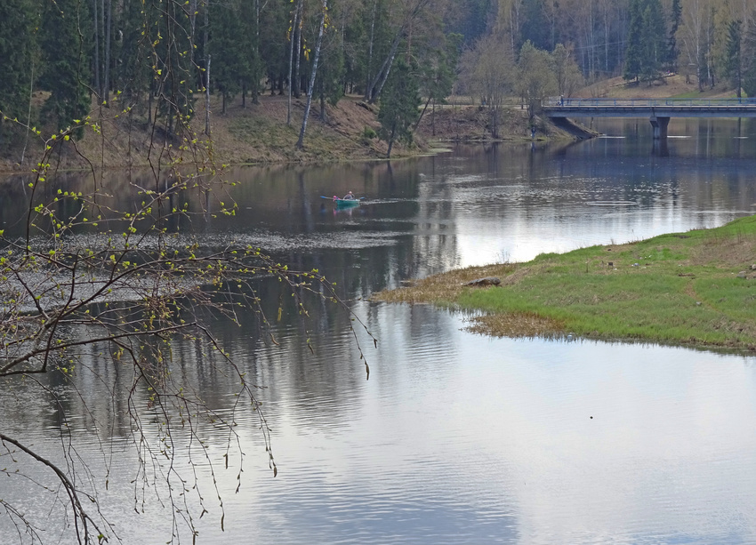 Река Оредеж