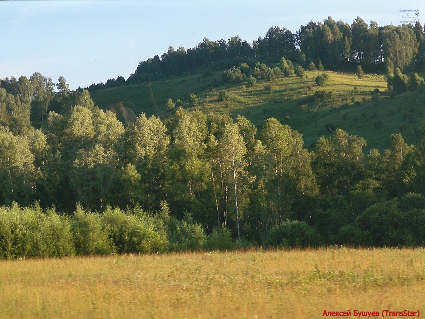 По дороге из Качульки, 2012г