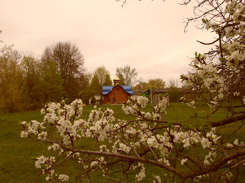весна в селе Елино