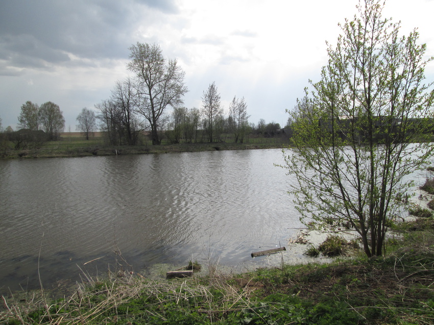 Пруд весной