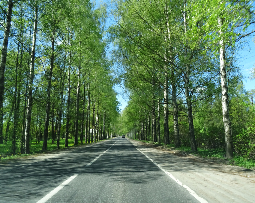 Улица Садовая