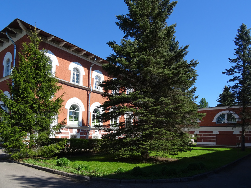 Лесной колледж