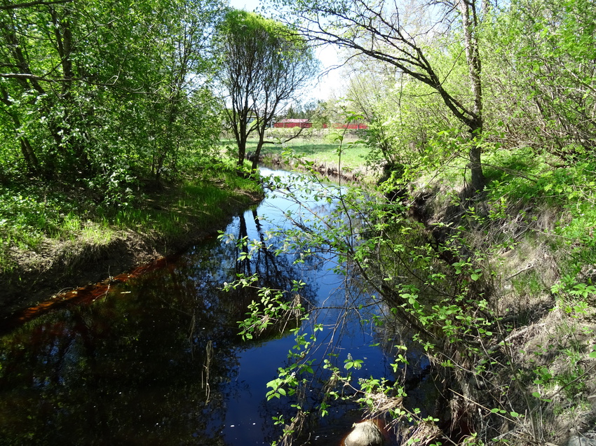 Река Лустовка
