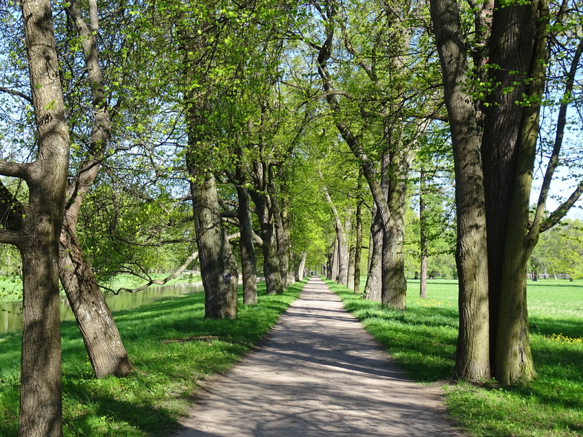 Екатерининский парк