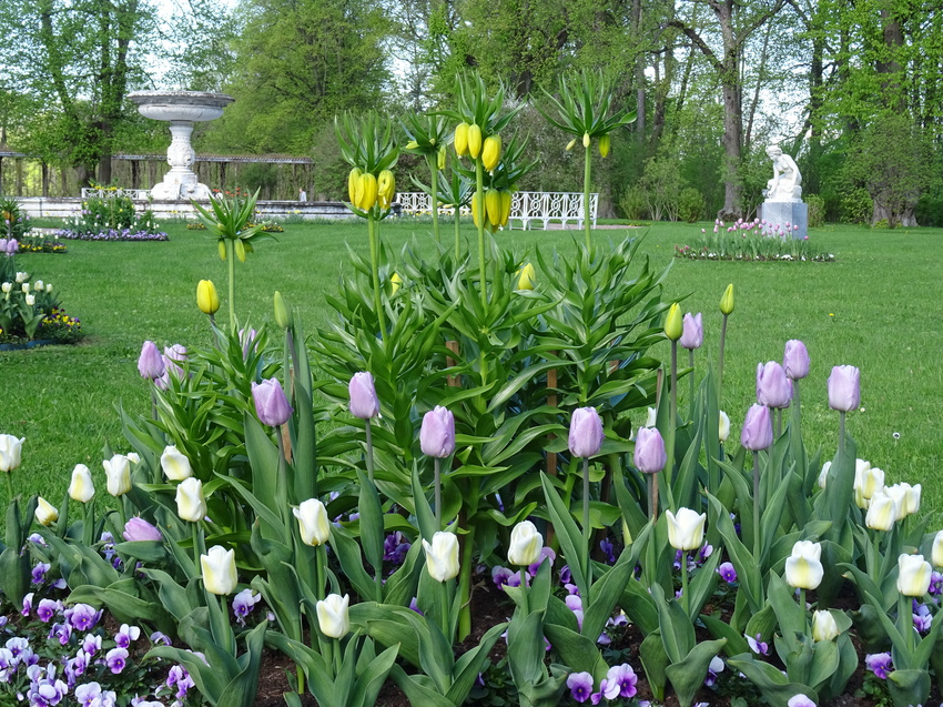 Собственный сад