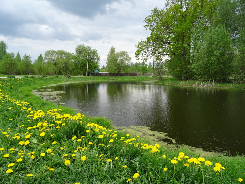 Круглый пруд