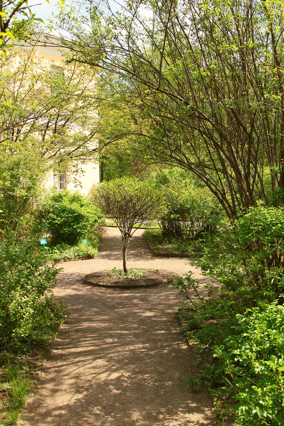 Собственный сад императрицы Марии Федоровны