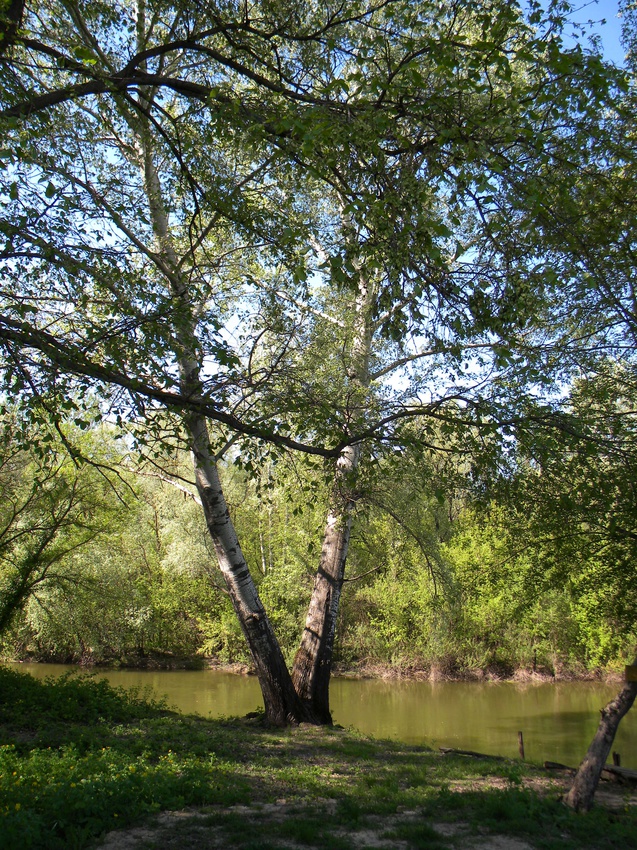 Природа села  Новоивановка