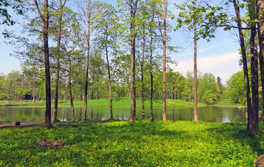 Александровский парк.