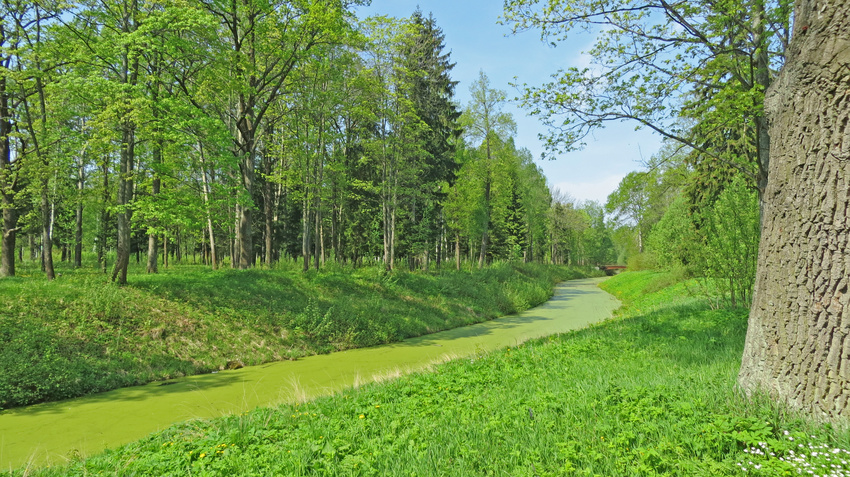 Александровский парк. Виттоловский канал