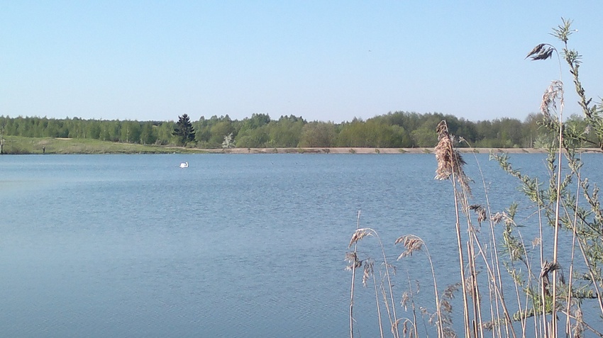 Утро на озере в д. Стецки