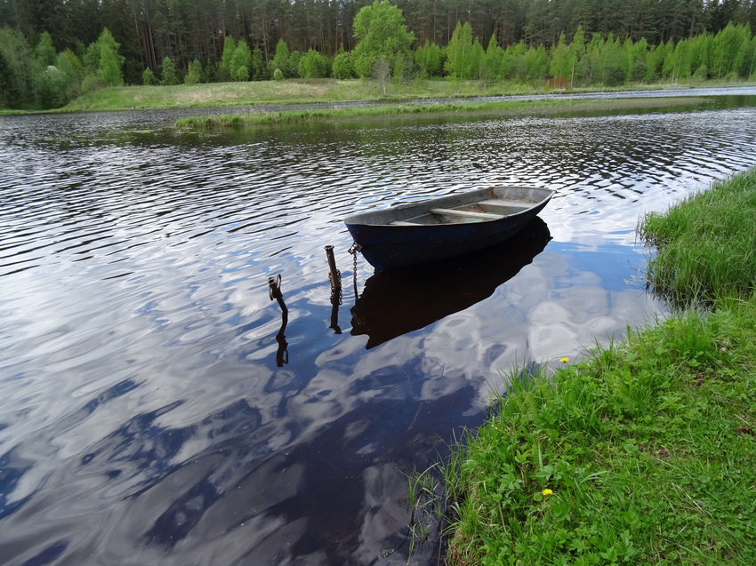 Река Оредеж