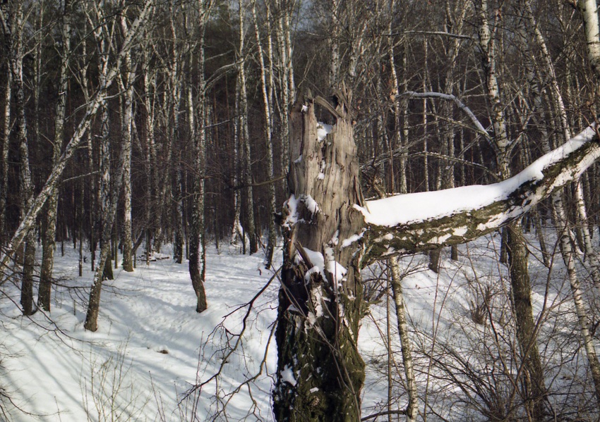 У МКАДа, зима 2001 год.