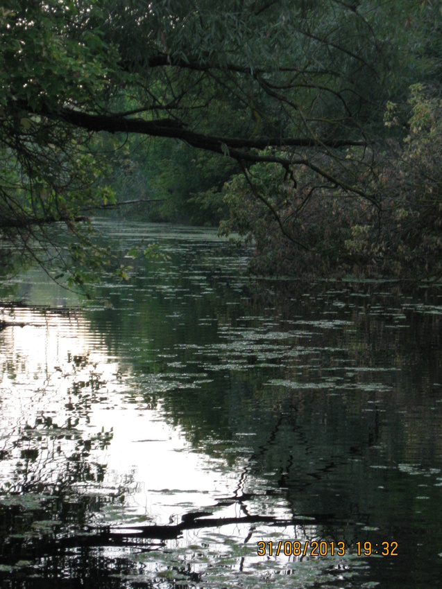 Старый Донец