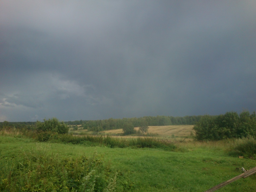 Кажется дождь собирается!