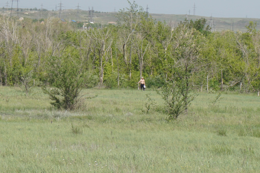 Защитная зелёная зона района 3с.