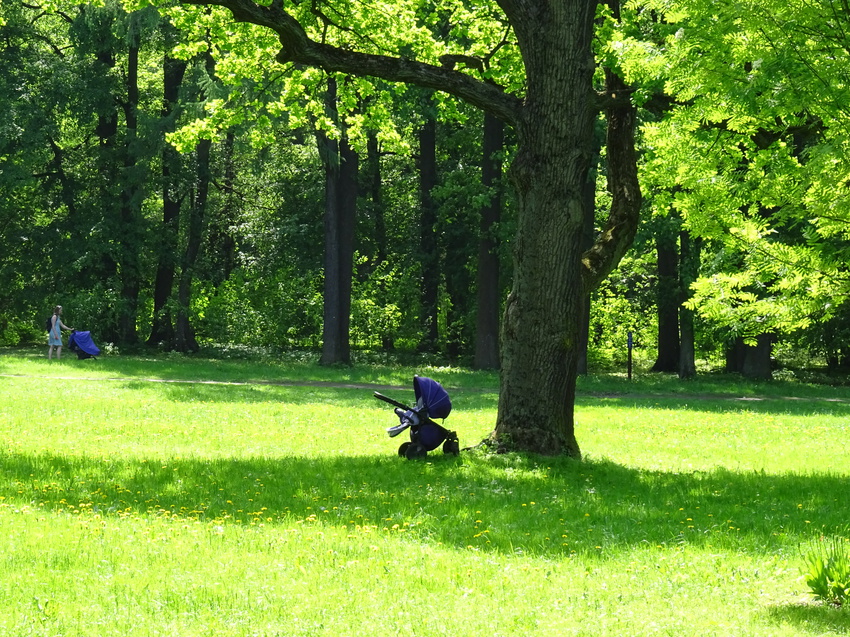 ЦПКО имени Кирова