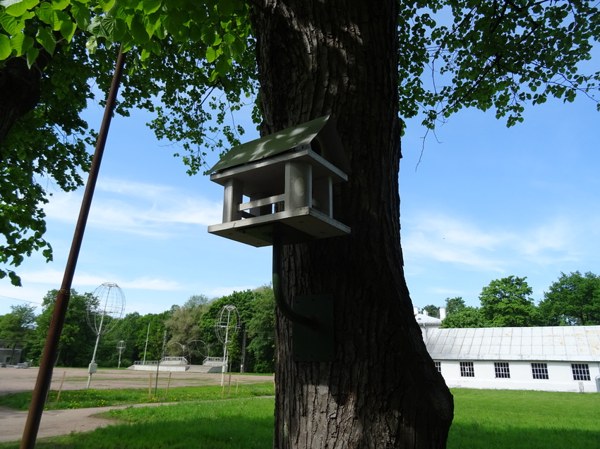 ЦПКО имени Кирова