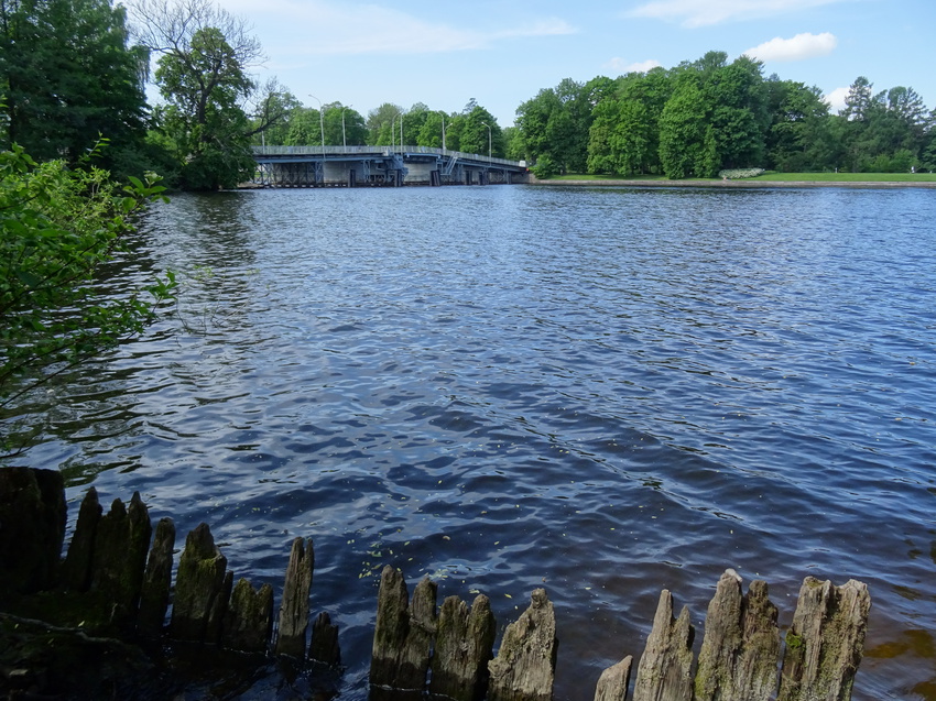 Река Средняя Невка