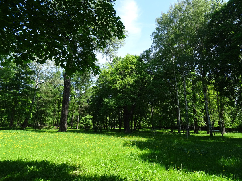 Парк &quot;Тихий отдых&quot;