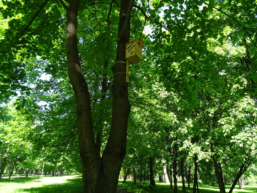 Парк &quot;Тихий отдых&quot;