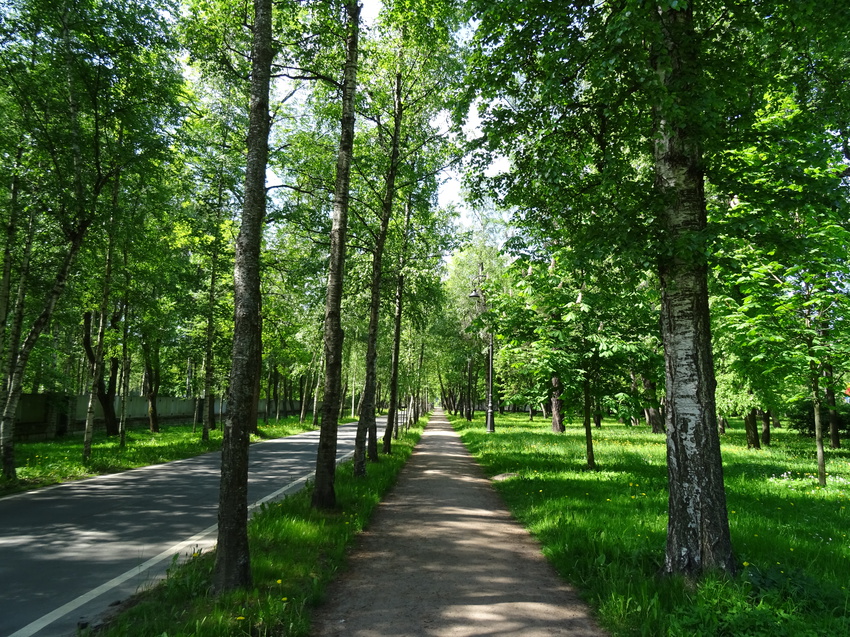 Парк тихий отдых в санкт петербурге