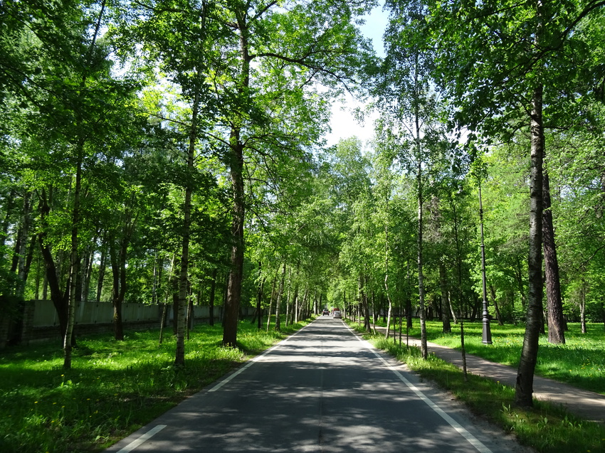 Парк &quot;Тихий отдых&quot;