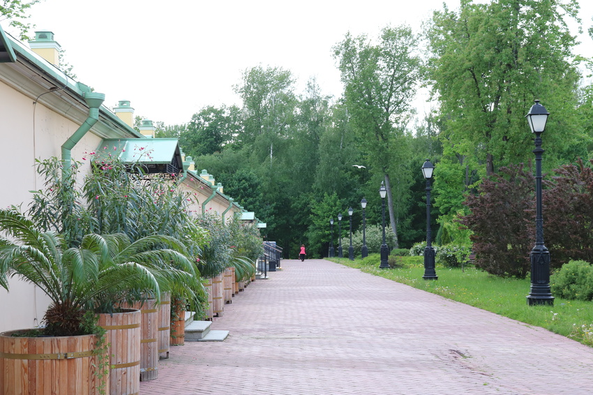 Оранжереи Царицынского дворца