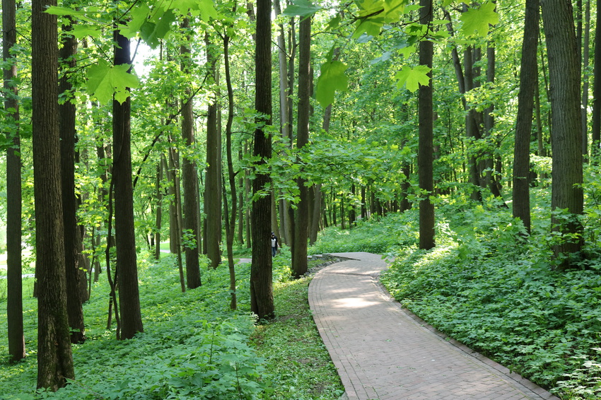 Царицынский парк