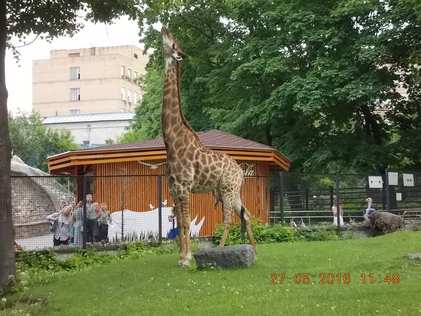 Московский Зоопарк