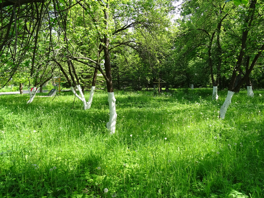 На территории Сергиевой пустыни