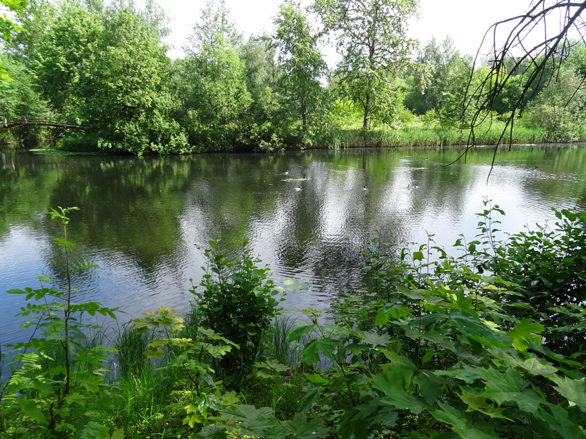 На территории Сергиевой пустыни