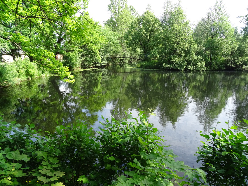 На территории Сергиевой пустыни