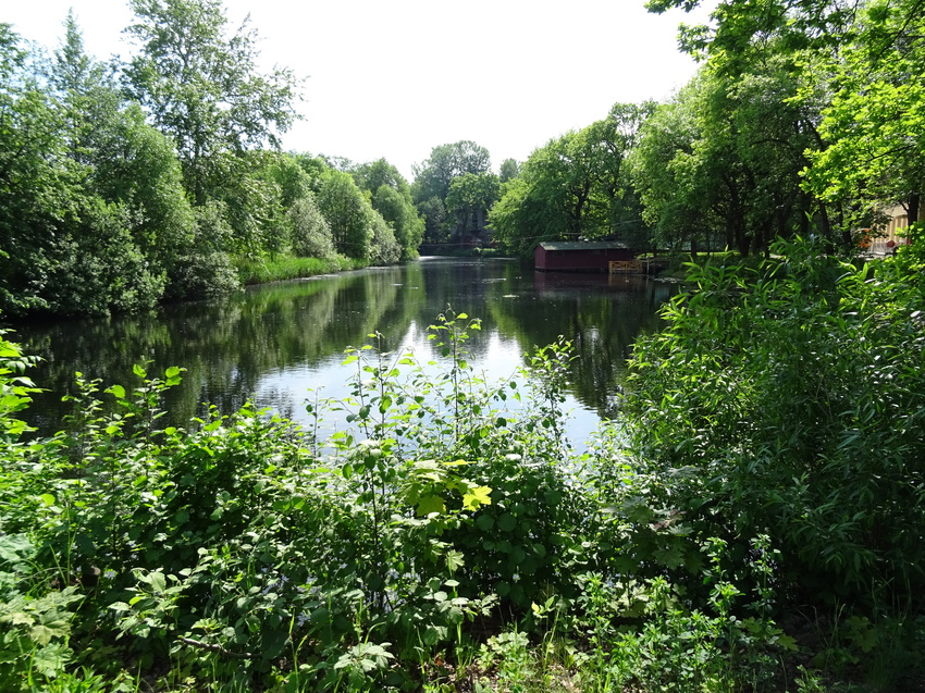 На территории Сергиевой пустыни