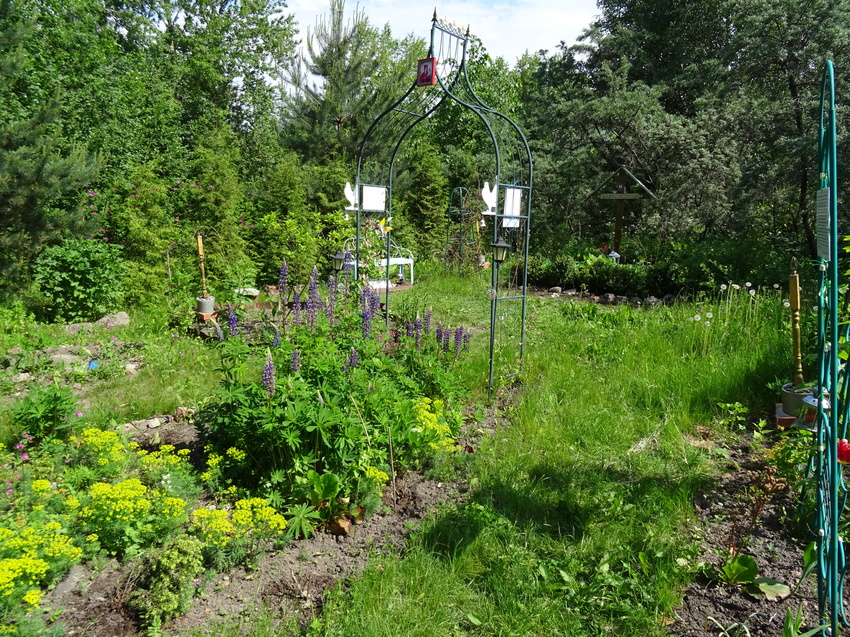 На территории Сергиевой пустыни