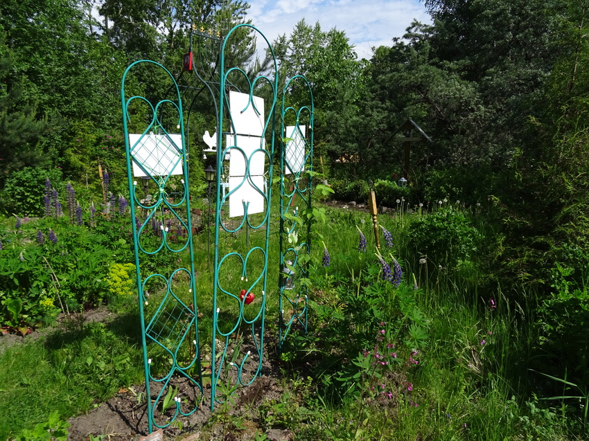 На территории Сергиевой пустыни