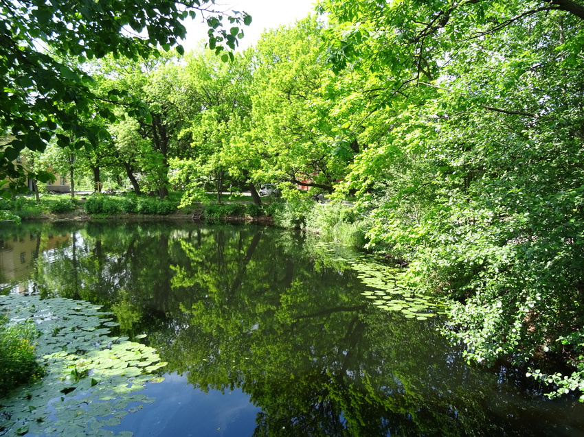 На территории Сергиевой пустыни