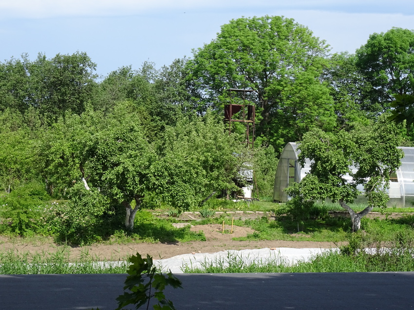 На территории Сергиевой пустыни