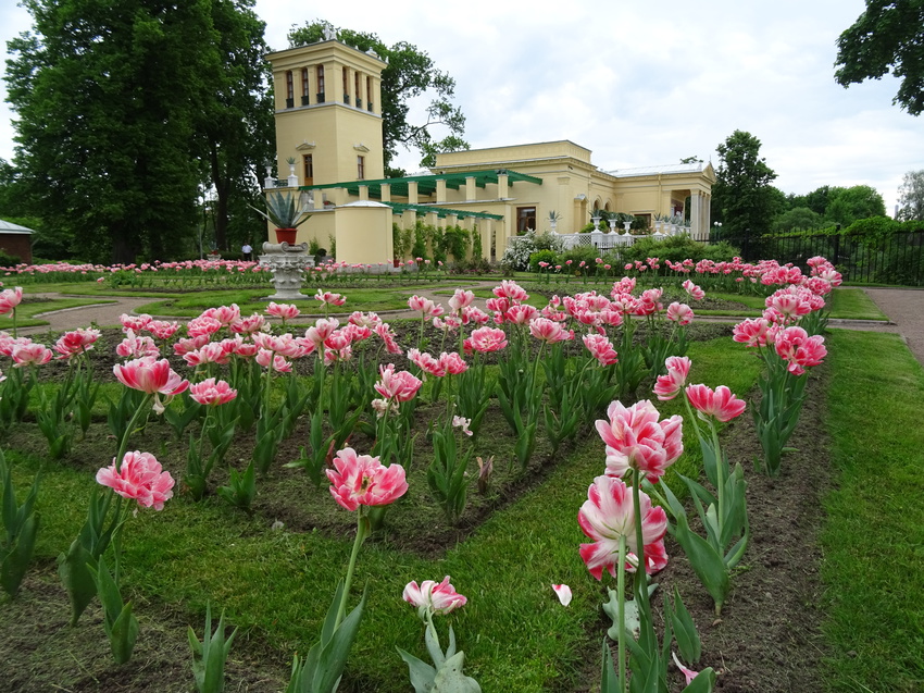 Сад Царицына павильона