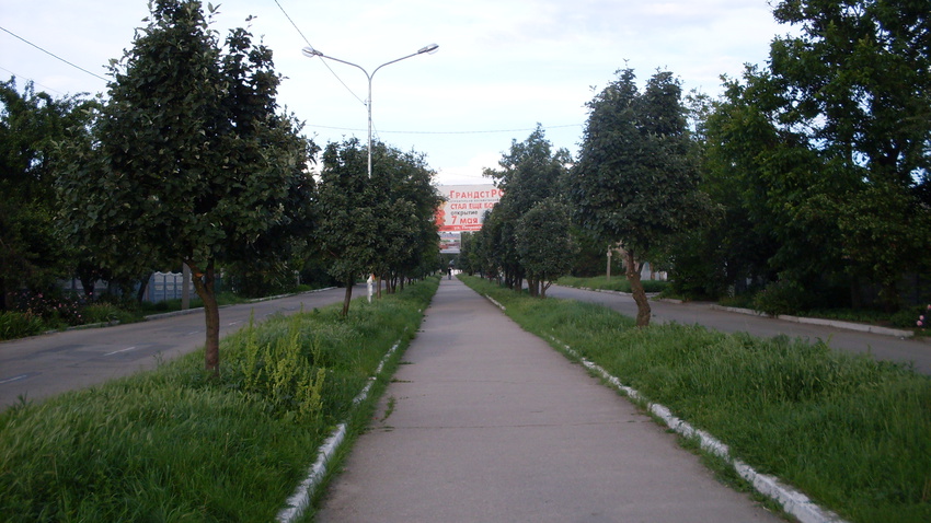Улица Садовая.