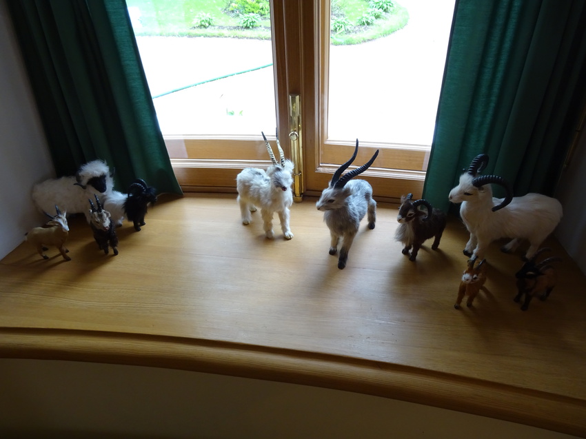 Фермерский дворец. Выставка.