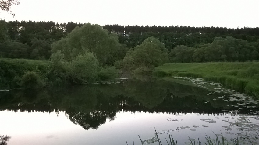 Вечерняя тишина