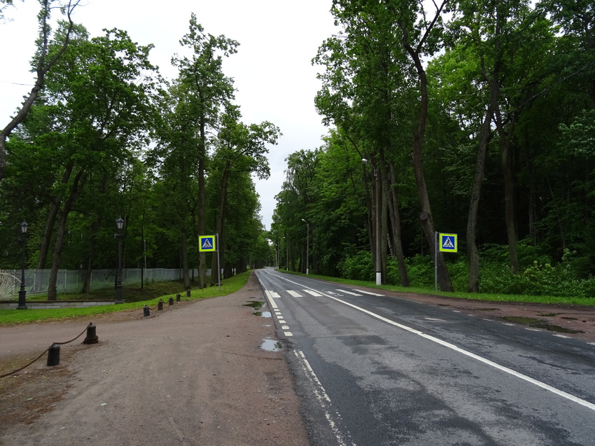 Дорога между Александровским и Баболовским парками