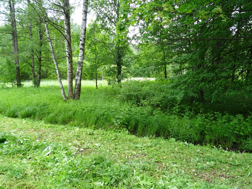 Баболовский парк